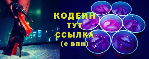 стаф Ельня