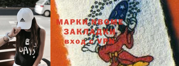 стаф Ельня