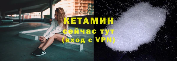 стаф Ельня