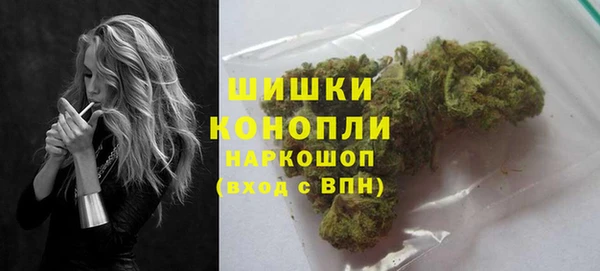 стаф Ельня