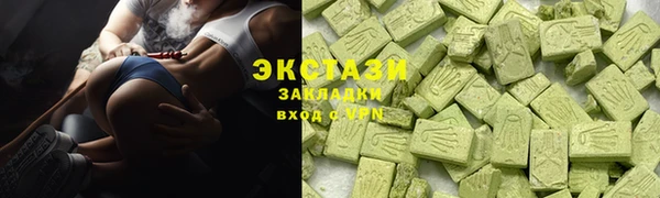 стаф Ельня