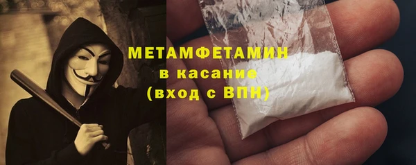 дживик Туринск