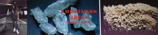 стаф Ельня