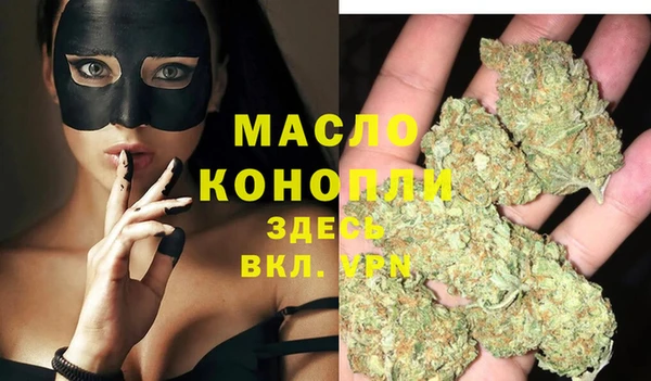 стаф Ельня