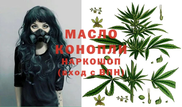 амф Елабуга