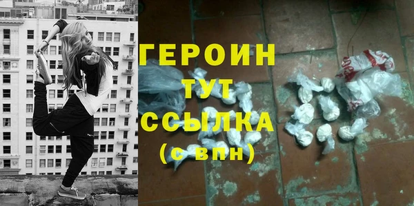 стаф Ельня