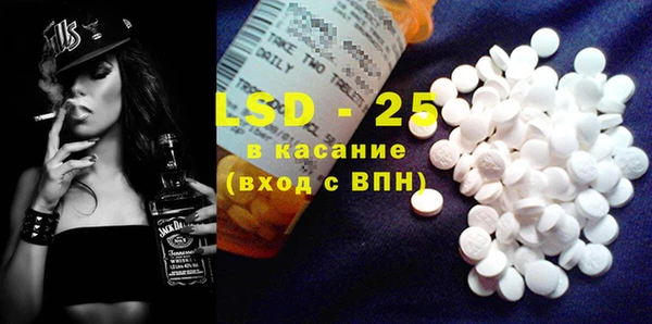 стаф Ельня