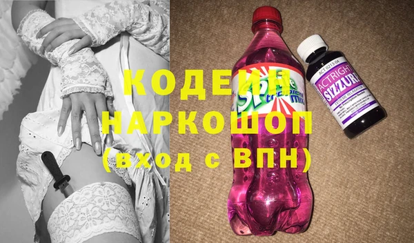 дживик Туринск