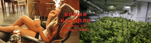 стаф Ельня