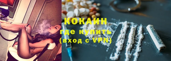 стаф Ельня
